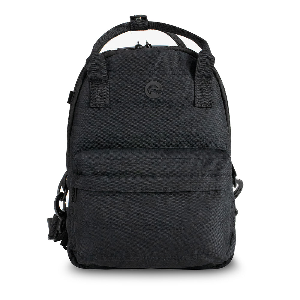 Raven - Black Canvas