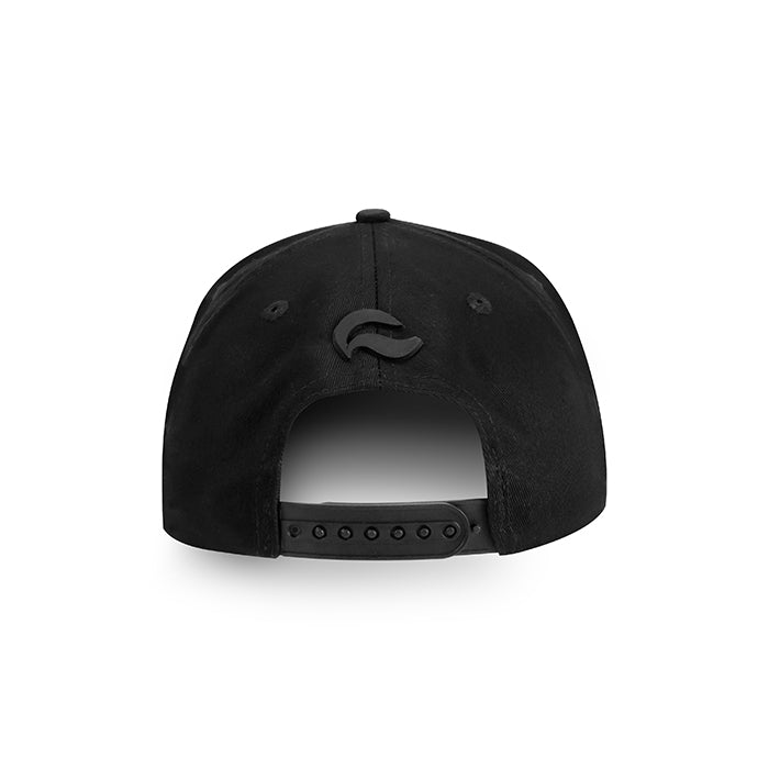 Black W/ Black Logo - Snap Back