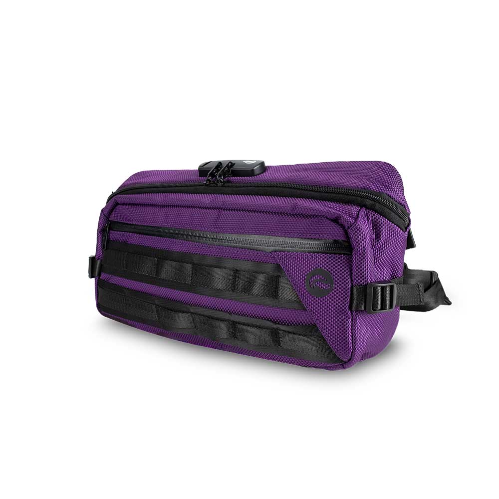 Buy DressBerry Purple Textured Sling Bag - Handbags for Women 2370099 |  Myntra